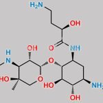 Plazomicin Impurity 1 CAS#: N/A