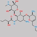 Plazomicin Impurity 10 CAS#: N/A