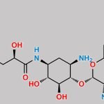 Plazomicin Impurity 2 CAS#: N/A
