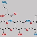 Plazomicin Impurity 3 CAS#: N/A