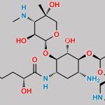 Plazomicin Impurity 4 CAS#: N/A