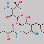 Plazomicin Impurity 5 CAS#: N/A