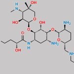 Plazomicin Impurity 6 CAS#: N/A