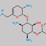 Plazomicin Impurity 8 CAS#: N/A