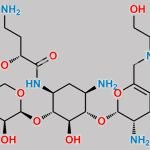 Plazomicin Impurity 9 CAS#: N/A