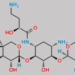 Plazomicin Nitroso Impurity 1 CAS#: N/A