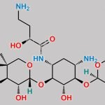 Plazomicin Nitroso Impurity 2 CAS#: N/A