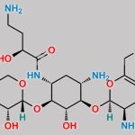 Plazomicin Nitroso Impurity 3 CAS#: N/A