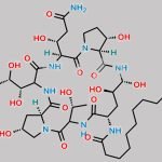 Pneumocandin B0 CAS#: 135575-42-7