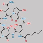 Pneumocandin B0 Serine Analog CAS#: 258510-40-6
