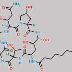 Pneumocandin C0 CAS#: 144074-96-4