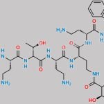 Polymyxin B CAS#: 1404-26-8