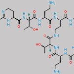 Polymyxin B Impurity 1 CAS#: N/A