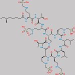 Polymyxin B Nitroso Impurity 1 CAS#: N/A
