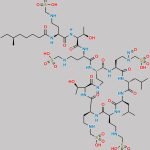 Polymyxin B Nitroso Impurity 2 CAS#: N/A