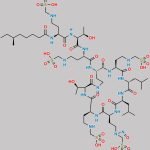 Polymyxin B Nitroso Impurity 3 CAS#: N/A
