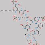 Polymyxin B Nitroso Impurity 4 CAS#: N/A
