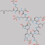Polymyxin B Nitroso Impurity 5 CAS#: N/A