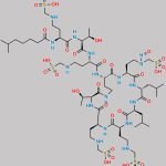 Polymyxin B Nitroso Impurity 7 CAS#: N/A