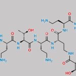 Polymyxin B1-I CAS#: 811435-10-6