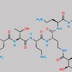 Polymyxin B2 CAS#: 34503-87-2