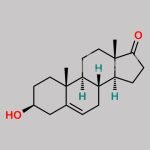 Prasterone CAS#: 53-43-0