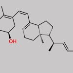 Pre-Doxercalciferol CAS#: 1818286-63-3