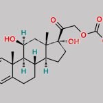 Prednicarbate EP Impurity D CAS#: 2205-88-1