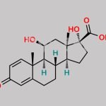Prednienic Acid CAS#: 37927-29-0