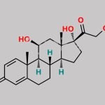 Prednisolone CAS#: 50-24-8