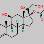 Prednisolone 17-carbonate CAS#: 104286-02-4