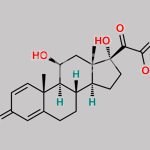 Prednisolone-21-Carboxylic Acid CAS#: 61549-70-0