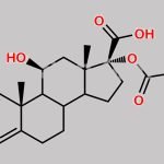 Prednisolone carbonate CAS#: 133991-63-6