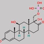 Prednisolone D-Homo A derivative CAS#: N/A