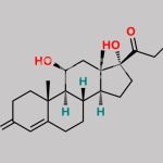 Prednisolone EP Impurity A CAS#: 50-23-7