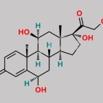 Prednisolone EP Impurity D CAS#: 16355-29-6
