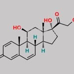 Prednisolone EP Impurity H CAS#: 2427-64-7