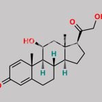 Prednisolone EP Impurity I CAS#: 13479-38-4