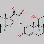 Prednisolone Impurity 13 CAS#: N/A