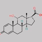 Prednisolone Impurity 14 CAS#: N/A