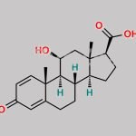 Prednisolone Impurity 15 CAS#: 75448-51-0
