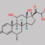 Prednisolone Impurity 22 CAS#: N/A