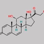Prednisolone Impurity 25 CAS#: 111186-94-8