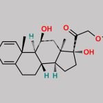 Prednisolone Impurity 5 CAS#: 2141-22-2