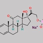 Prednisolone Impurity 6 (Disodium salt) CAS#: 33903-70-7