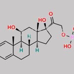 Prednisolone Sodium Phosphate Impurity 2 CAS#: N/A