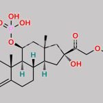Prednisolone Sodium Phosphate USP Impurity E CAS#: N/A