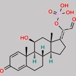 Prednisolone Sodium Phosphate USP Impurity F CAS#: N/A
