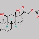 Prednisolone Tebutate CAS#: 7681-14-3