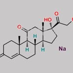 Prednisone EP Impurity A Sodium salt CAS#: 885458-00-4